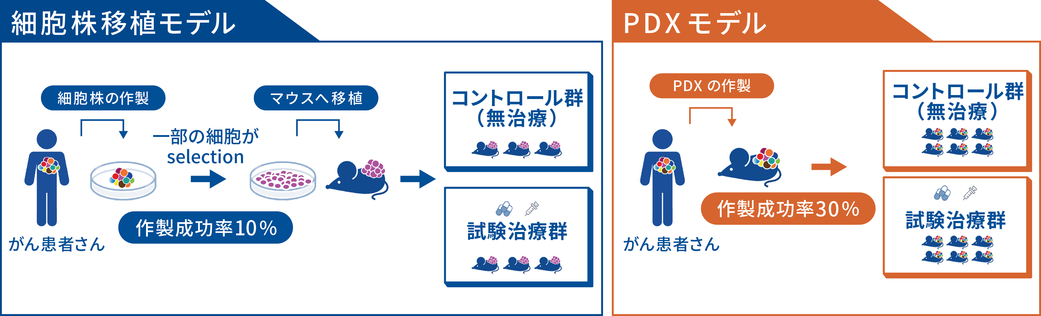 CDXモデルとPDXモデルの比較図